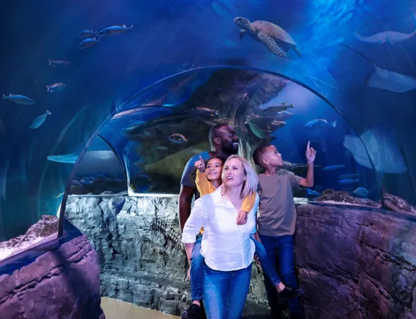 SEA LIFE